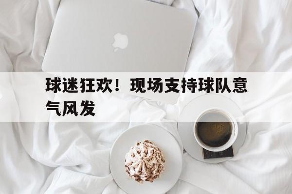 球迷狂欢！现场支持球队意气风发