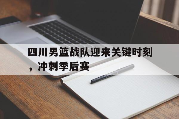 四川男篮战队迎来关键时刻，冲刺季后赛的简单介绍